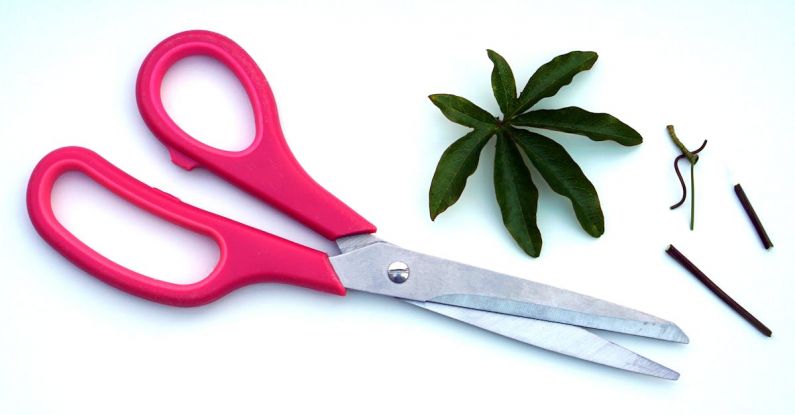 Tool Materials - Red Scissors Near Green Leaf